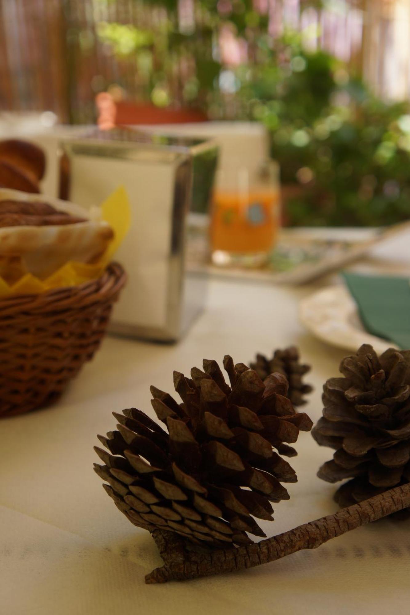 Santa Caterina Da Siena B&B Катания Экстерьер фото